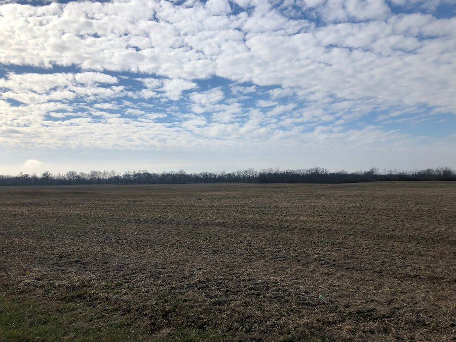 OHIO LAND AUCTION - 126.5+/- ACRES IN 1 TRACT IN PREBLE COUNTY, OHIO