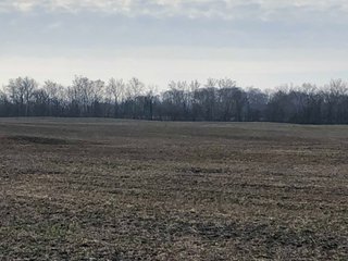 Property photo 2 - OHIO LAND AUCTION - 126.5+/- ACRES IN 1 TRACT IN PREBLE COUNTY, OHIO