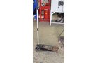 Property photo 151 - QUALITY TOOLS & EQUIPMENT AUCTION IN WHITLEY COUNTY, INDIANA