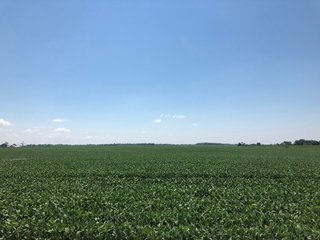 Property photo 10 - PRIME LAND AUCTION - 160+/- ACRES IN 4 TRACTS IN UNION COUTY, INDIANA