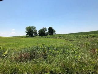 Property photo 14 - PRIME LAND AUCTION - 160+/- ACRES IN 4 TRACTS IN UNION COUTY, INDIANA