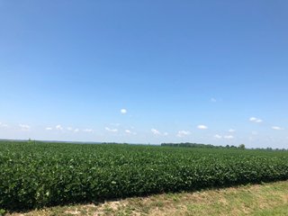 Property photo 15 - PRIME LAND AUCTION - 160+/- ACRES IN 4 TRACTS IN UNION COUTY, INDIANA