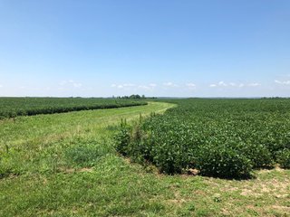 Property photo 8 - PRIME LAND AUCTION - 160+/- ACRES IN 4 TRACTS IN UNION COUTY, INDIANA