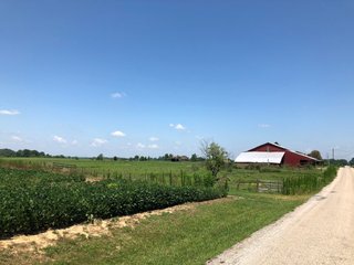 Property photo 9 - PRIME LAND AUCTION - 160+/- ACRES IN 4 TRACTS IN UNION COUTY, INDIANA