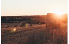 Property photo 9 - LAND AUCTION - 77+/- ACRES IN 2 TRACTS IN EAST ALLEN COUNTY, INDIANA