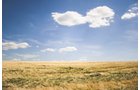 Property photo 10 - LAND AUCTION - 77+/- ACRES IN 2 TRACTS IN EAST ALLEN COUNTY, INDIANA