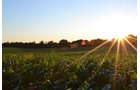 Property photo 6 - LAND AUCTION - 77+/- ACRES IN 2 TRACTS IN EAST ALLEN COUNTY, INDIANA