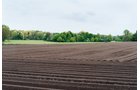Property photo 5 - LAND AUCTION - 77+/- ACRES IN 2 TRACTS IN EAST ALLEN COUNTY, INDIANA