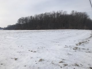 Property photo 18 - REAL ESTATE AUCTION - 168+/- ACRES IN 8 TRACTS IN LAPORTE COUNTY, INDIANA
