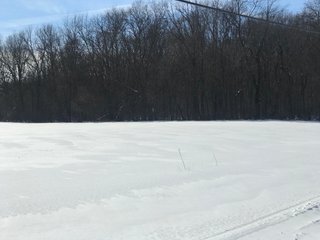 Property photo 19 - REAL ESTATE AUCTION - 168+/- ACRES IN 8 TRACTS IN LAPORTE COUNTY, INDIANA