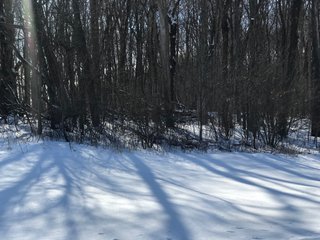 Property photo 35 - REAL ESTATE AUCTION - 168+/- ACRES IN 8 TRACTS IN LAPORTE COUNTY, INDIANA
