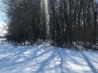 Property photo 30 - REAL ESTATE AUCTION - 168+/- ACRES IN 8 TRACTS IN LAPORTE COUNTY, INDIANA