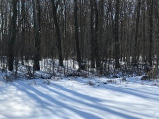 Property photo 26 - REAL ESTATE AUCTION - 168+/- ACRES IN 8 TRACTS IN LAPORTE COUNTY, INDIANA