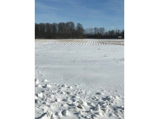Property photo 32 - REAL ESTATE AUCTION - 168+/- ACRES IN 8 TRACTS IN LAPORTE COUNTY, INDIANA