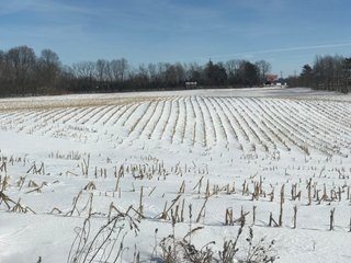 Property photo 27 - REAL ESTATE AUCTION - 168+/- ACRES IN 8 TRACTS IN LAPORTE COUNTY, INDIANA
