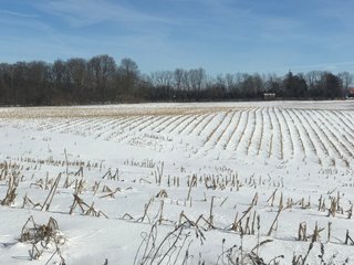 Property photo 22 - REAL ESTATE AUCTION - 168+/- ACRES IN 8 TRACTS IN LAPORTE COUNTY, INDIANA