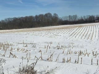 Property photo 33 - REAL ESTATE AUCTION - 168+/- ACRES IN 8 TRACTS IN LAPORTE COUNTY, INDIANA