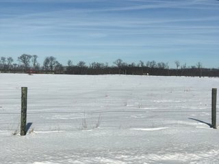 Property photo 34 - REAL ESTATE AUCTION - 168+/- ACRES IN 8 TRACTS IN LAPORTE COUNTY, INDIANA