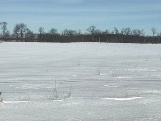 Property photo 31 - REAL ESTATE AUCTION - 168+/- ACRES IN 8 TRACTS IN LAPORTE COUNTY, INDIANA
