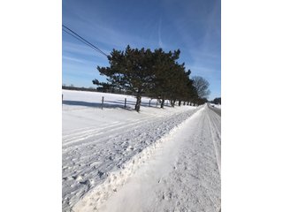 Property photo 17 - REAL ESTATE AUCTION - 168+/- ACRES IN 8 TRACTS IN LAPORTE COUNTY, INDIANA