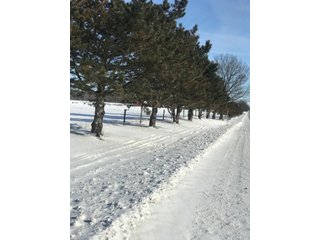 Property photo 24 - REAL ESTATE AUCTION - 168+/- ACRES IN 8 TRACTS IN LAPORTE COUNTY, INDIANA