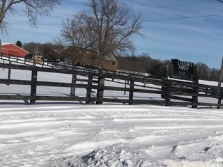 Property photo 42 - REAL ESTATE AUCTION - 168+/- ACRES IN 8 TRACTS IN LAPORTE COUNTY, INDIANA