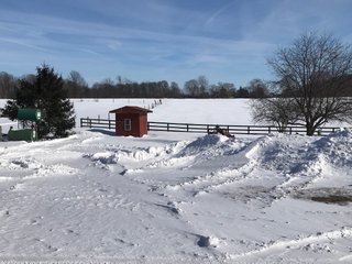 Property photo 57 - REAL ESTATE AUCTION - 168+/- ACRES IN 8 TRACTS IN LAPORTE COUNTY, INDIANA