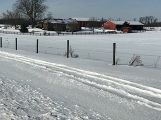 Property photo 43 - REAL ESTATE AUCTION - 168+/- ACRES IN 8 TRACTS IN LAPORTE COUNTY, INDIANA