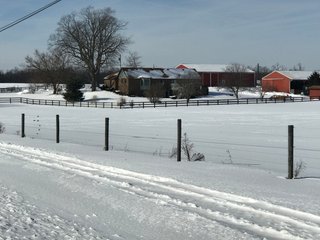 Property photo 46 - REAL ESTATE AUCTION - 168+/- ACRES IN 8 TRACTS IN LAPORTE COUNTY, INDIANA