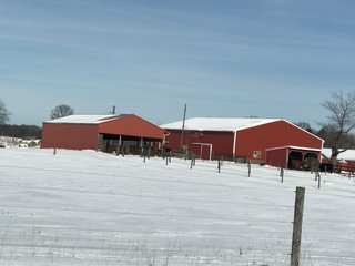 Property photo 37 - REAL ESTATE AUCTION - 168+/- ACRES IN 8 TRACTS IN LAPORTE COUNTY, INDIANA
