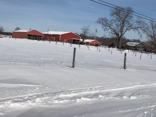 Property photo 47 - REAL ESTATE AUCTION - 168+/- ACRES IN 8 TRACTS IN LAPORTE COUNTY, INDIANA