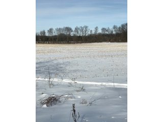 Property photo 25 - REAL ESTATE AUCTION - 168+/- ACRES IN 8 TRACTS IN LAPORTE COUNTY, INDIANA