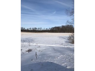 Property photo 36 - REAL ESTATE AUCTION - 168+/- ACRES IN 8 TRACTS IN LAPORTE COUNTY, INDIANA