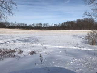 Property photo 28 - REAL ESTATE AUCTION - 168+/- ACRES IN 8 TRACTS IN LAPORTE COUNTY, INDIANA