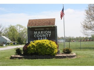 Property photo 14 - REAL ESTATE AUCTION - 240+/- ACRES OFFERED IN 3 TRACTS IN MARION COUNTY, ILLINOIS
