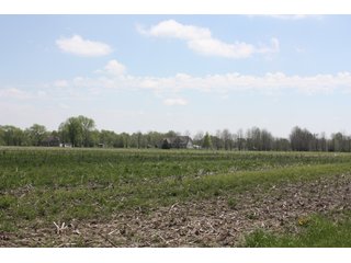 Property photo 7 - REAL ESTATE AUCTION - 240+/- ACRES OFFERED IN 3 TRACTS IN MARION COUNTY, ILLINOIS