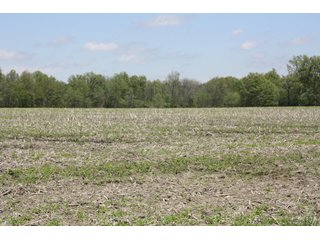 Property photo 3 - REAL ESTATE AUCTION - 240+/- ACRES OFFERED IN 3 TRACTS IN MARION COUNTY, ILLINOIS