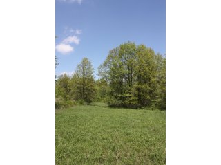 Property photo 12 - REAL ESTATE AUCTION - 240+/- ACRES OFFERED IN 3 TRACTS IN MARION COUNTY, ILLINOIS