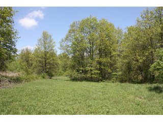 Property photo 8 - REAL ESTATE AUCTION - 240+/- ACRES OFFERED IN 3 TRACTS IN MARION COUNTY, ILLINOIS