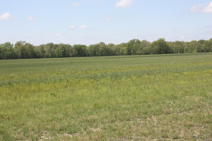 REAL ESTATE AUCTION - 240+/- ACRES OFFERED IN 3 TRACTS IN MARION COUNTY, ILLINOIS