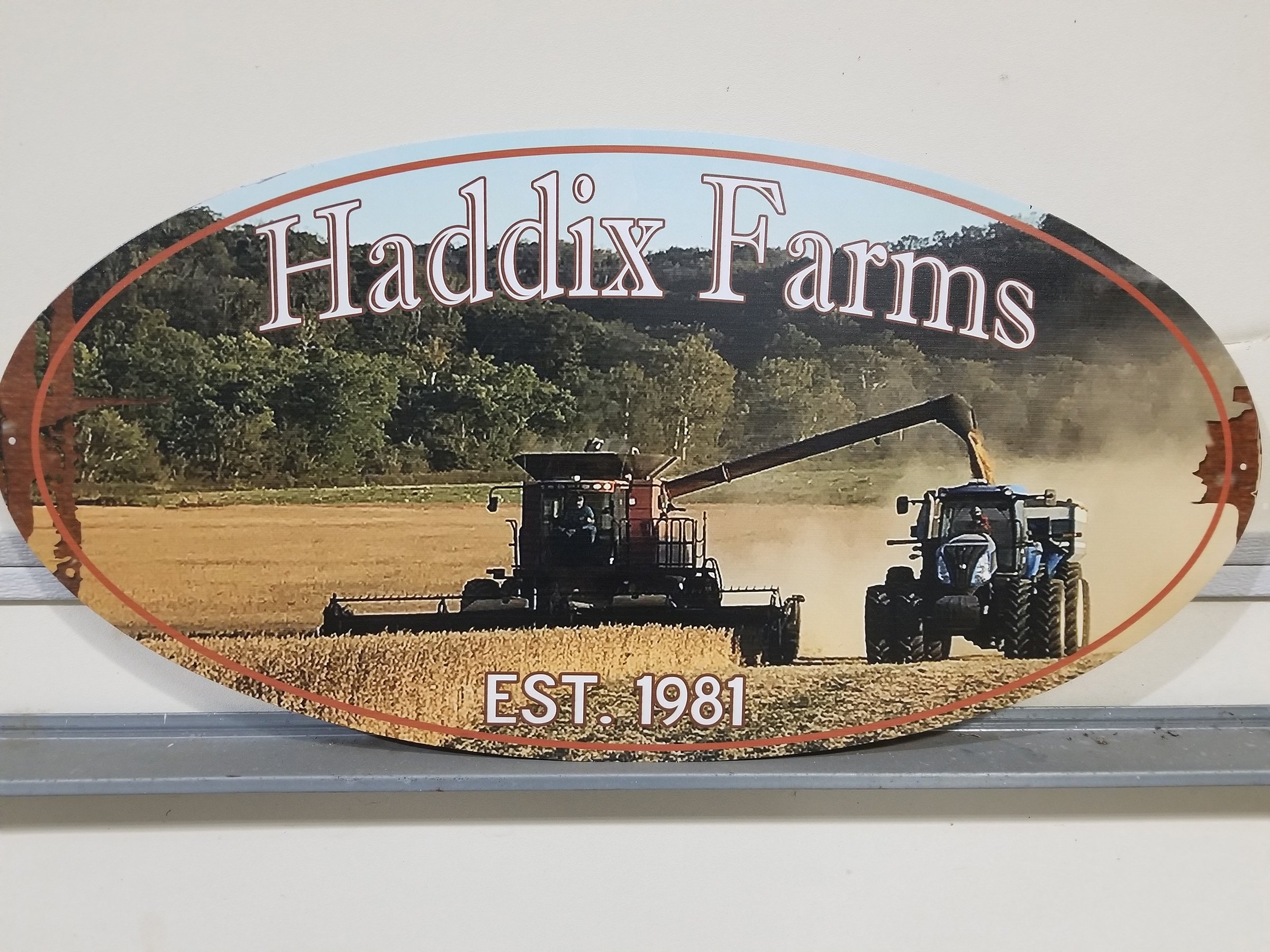 Property photo 1 - REAL ESTATE & FARM EQUIPMENT AUCTION - 4.95+/- ACRES IN 3 TRACTS IN GALLATIN COUNTY, KENTUCKY