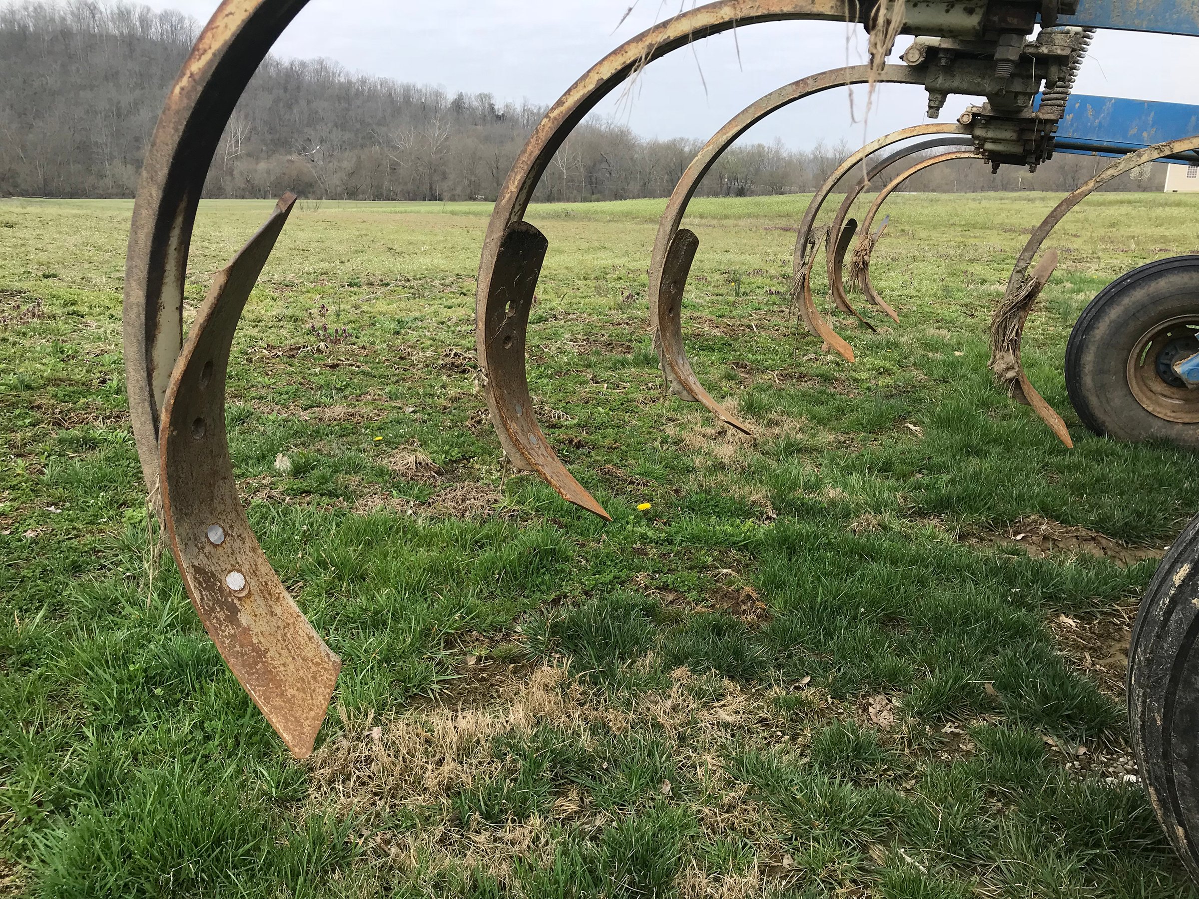 Property photo 433 - REAL ESTATE & FARM EQUIPMENT AUCTION - 4.95+/- ACRES IN 3 TRACTS IN GALLATIN COUNTY, KENTUCKY