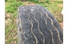 Property photo 774 - REAL ESTATE & FARM EQUIPMENT AUCTION - 4.95+/- ACRES IN 3 TRACTS IN GALLATIN COUNTY, KENTUCKY