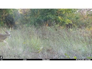 Property photo 30 - SIGNIFICANT LAND & PRODUCING MINERALS SEALED BID AUCTION - 233+/- ACRE FARM IN 1 TRACT - 6 MINERAL TRACTS IN GARVIN, MCCLAIN, GRADY & ROGER MILLS COUNTIES, OKLAHOMA