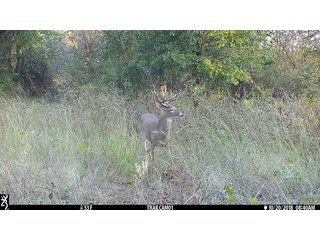 Property photo 32 - SIGNIFICANT LAND & PRODUCING MINERALS SEALED BID AUCTION - 233+/- ACRE FARM IN 1 TRACT - 6 MINERAL TRACTS IN GARVIN, MCCLAIN, GRADY & ROGER MILLS COUNTIES, OKLAHOMA