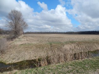 Property photo 5 - MAJOR LAND AUCTION - 313+/- ACRES OFFERED IN 7 TRACTS IN IROQUOIS COUNTY, ILLINOIS