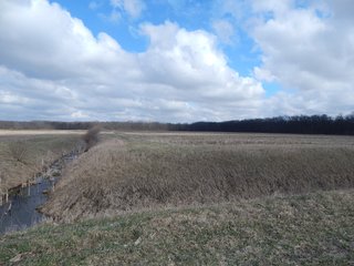 Property photo 12 - MAJOR LAND AUCTION - 313+/- ACRES OFFERED IN 7 TRACTS IN IROQUOIS COUNTY, ILLINOIS