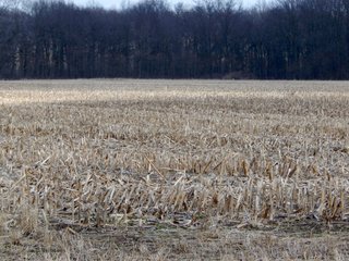 Property photo 10 - MAJOR LAND AUCTION - 313+/- ACRES OFFERED IN 7 TRACTS IN IROQUOIS COUNTY, ILLINOIS