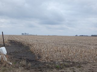 Property photo 14 - MAJOR LAND AUCTION - 313+/- ACRES OFFERED IN 7 TRACTS IN IROQUOIS COUNTY, ILLINOIS