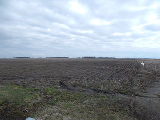 Property photo 23 - MAJOR LAND AUCTION - 313+/- ACRES OFFERED IN 7 TRACTS IN IROQUOIS COUNTY, ILLINOIS